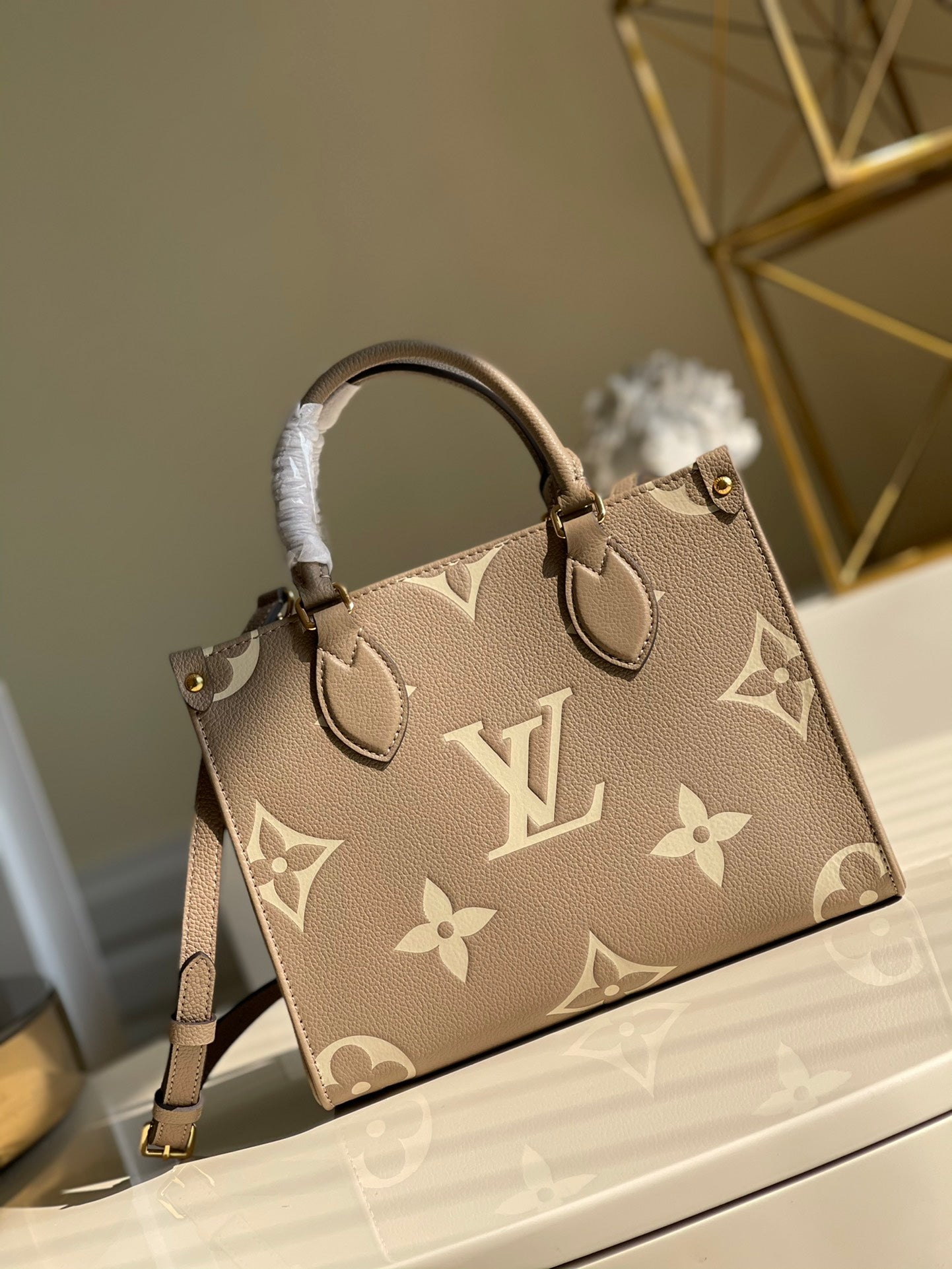 Louis Vuitton  OnTheGo PM Bag